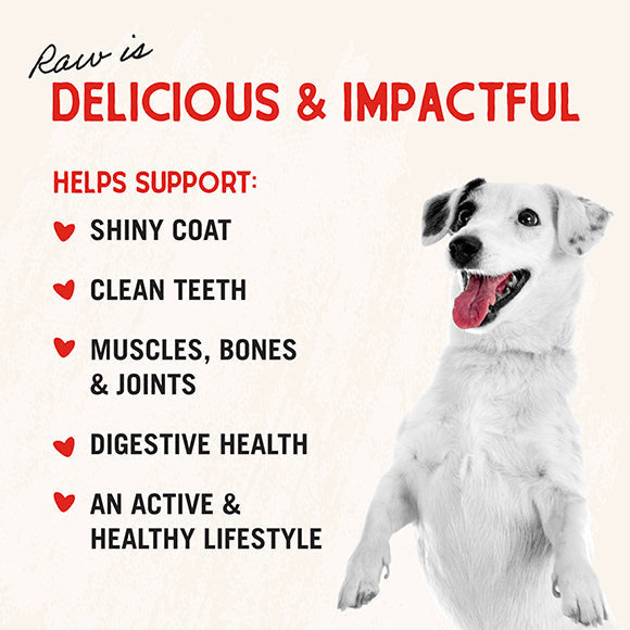 Stella & Chewy's Dog FD Chewy's Chicken Meal Mixers