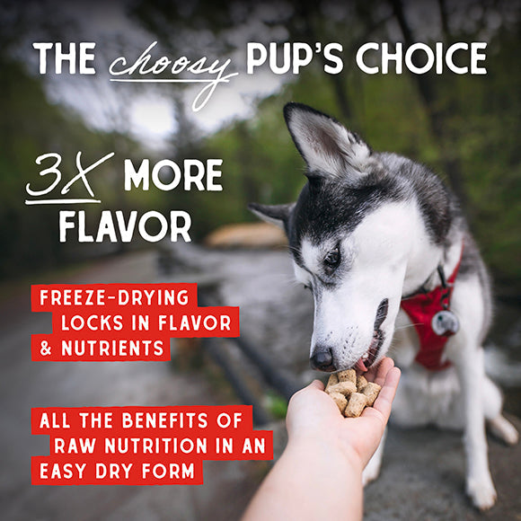 Stella & Chewy's Dog FD Chewy's Chicken Meal Mixers