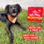 Stella & Chewy's Dog FD Chewy's Chicken Meal Mixers