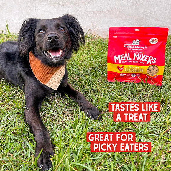 Stella & Chewy's Dog FD Chewy's Chicken Meal Mixers