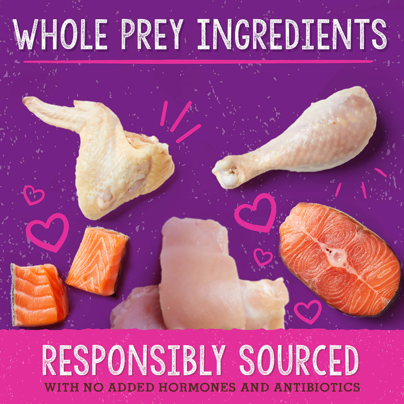 Stella & Chewy's Cat FD Yummy Lickin' Salmon & Chicken