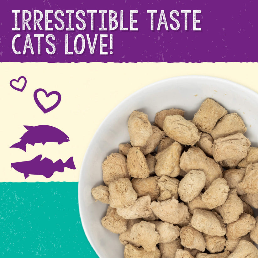 Stella & Chewy's Cat FD Sea-Licious Salmon & Cod