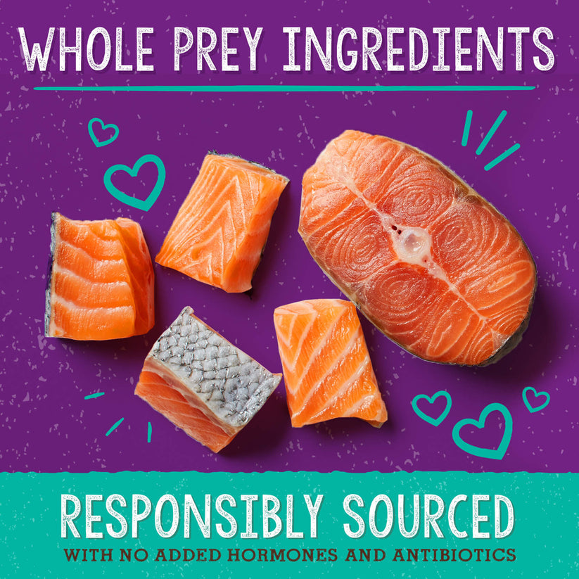 Stella & Chewy's Cat FD Sea-Licious Salmon & Cod