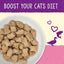 Stella & Chewy's Duck & Salmon Recipe Dinner Morsels w/Skin & Coat Boost 7.5oz