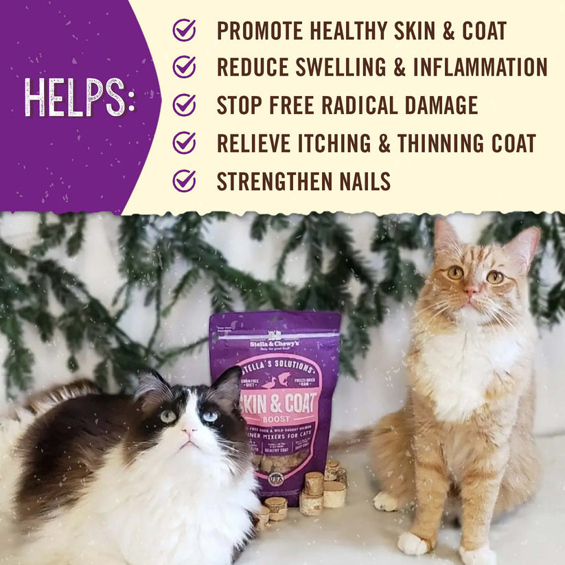 Stella & Chewy's Duck & Salmon Recipe Dinner Morsels w/Skin & Coat Boost 7.5oz