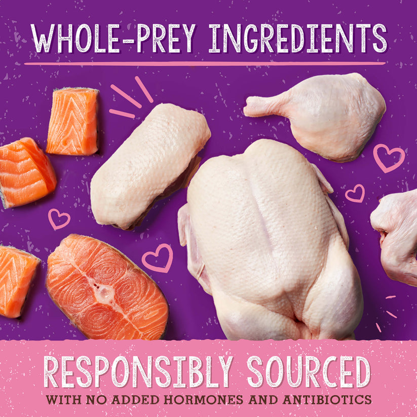 Stella & Chewy's Duck & Salmon Recipe Dinner Morsels w/Skin & Coat Boost 7.5oz