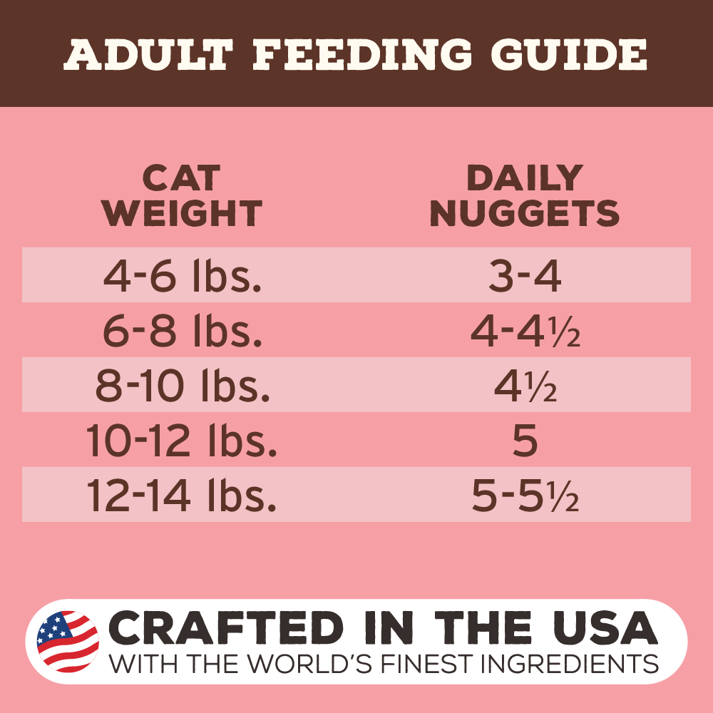 Primal Feline Beef & Salmon Freeze-Dried Formula