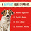 Stella & Chewy's Dog FD Dandy Lamb Patties