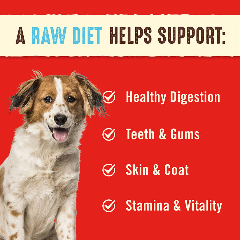 Stella & Chewy's Dog FD Dandy Lamb Patties