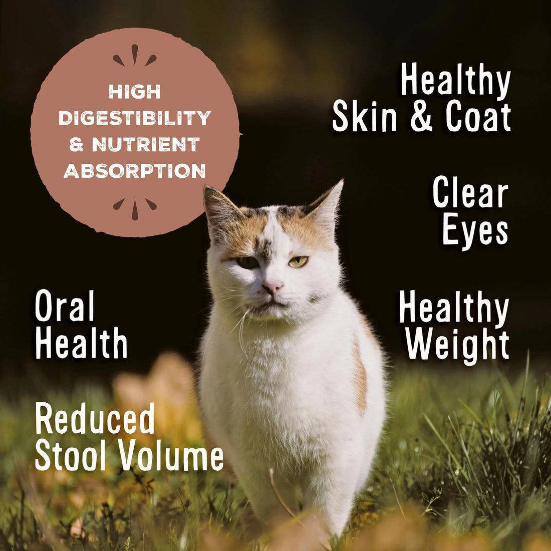 Primal Feline Turkey Freeze-Dried Formula