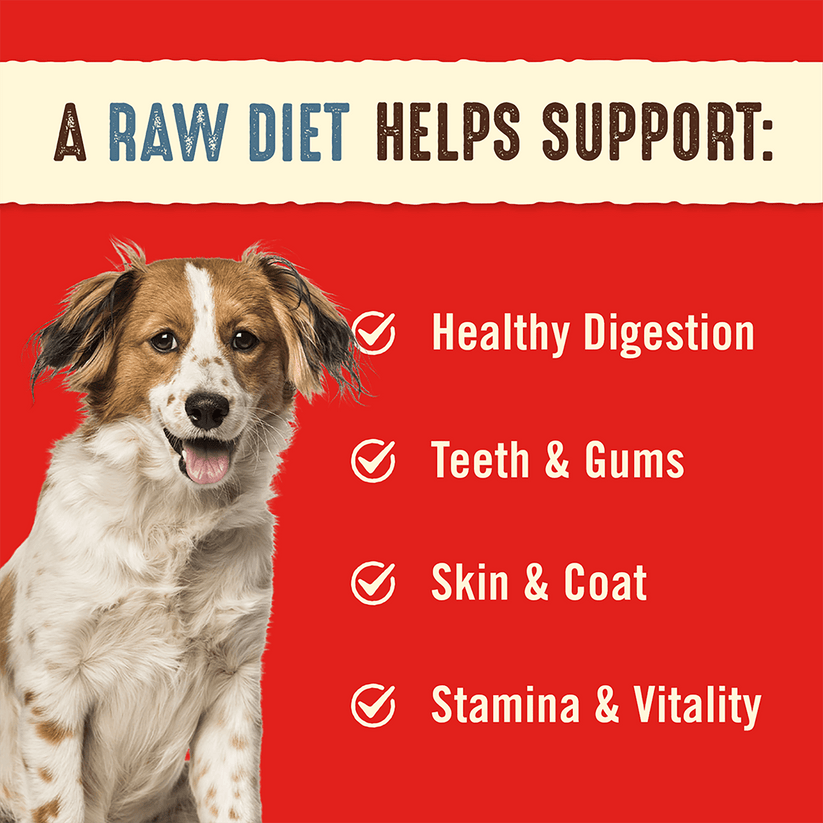 Stella & Chewy's Dog Freeze Dried Simply Venison Dinner