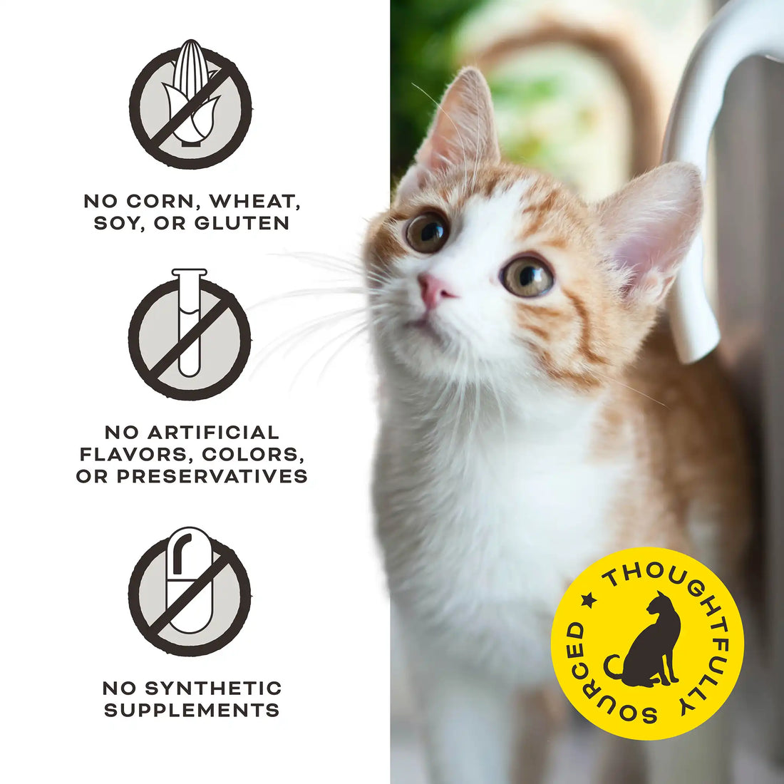 Primal The G.O.A.T. Chicken & Goat Milk for cats! Freeze-Dried Treat 2oz