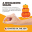 Primal Pumpkin For My Pumpkin Chicken & Pumpkin with Goat Milk Freeze-Dried Treat 2oz