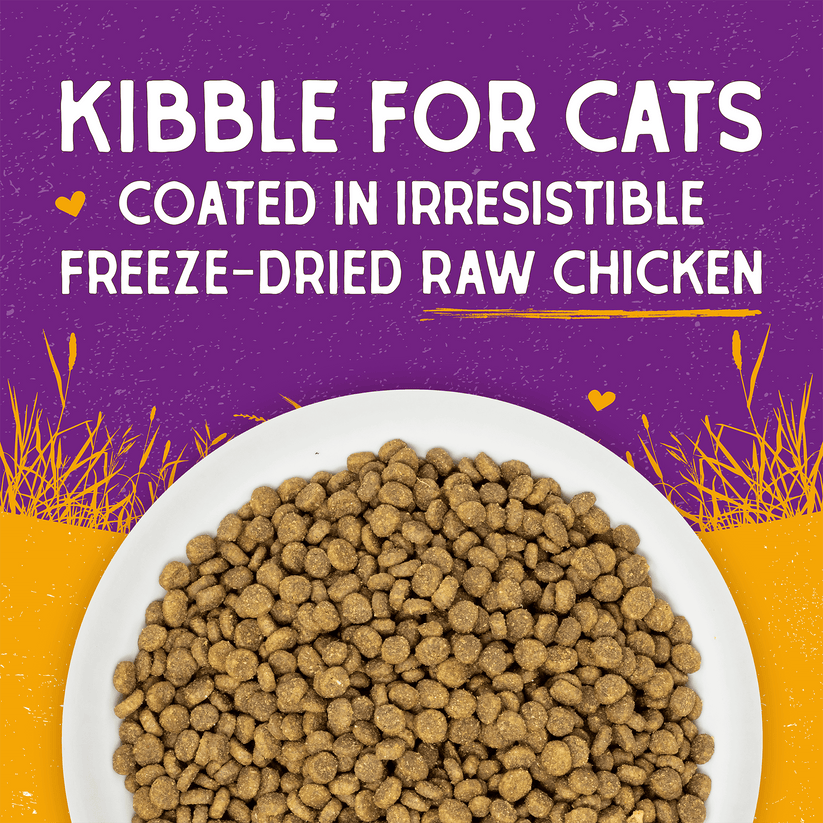 Stella & Chewy's Cat-Raw Coated Kibble Chicken