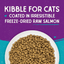 Stella & Chewy's Cat - Raw Coated Kibble Salmon