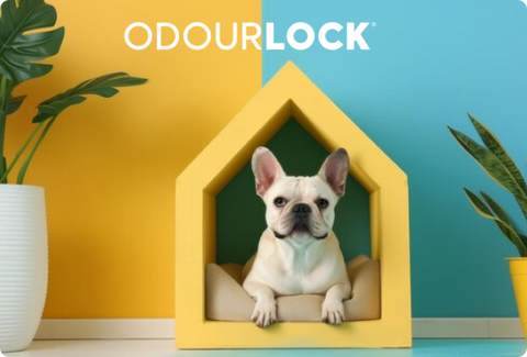 Odourlock