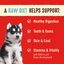 Stella & Chewy's Dog FD Perfectly Puppy Beef & Salmon Patties - 14oz