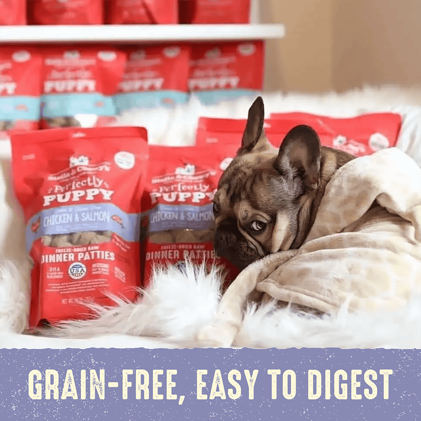 Stella & Chewy's Dog FD Perfectly Puppy Chicken & Salmon Patties-14oz