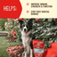 Stella & Chewy's Immune Boost Grass Fed Lamb Recipe 13oz