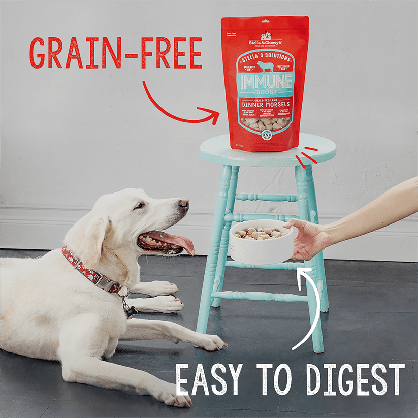 Stella & Chewy's Immune Boost Grass Fed Lamb Recipe 13oz