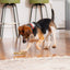 Stella & Chewy's Dental Delights Small