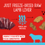 Stella & Chewy's Lamb Liver Treats - 3 oz