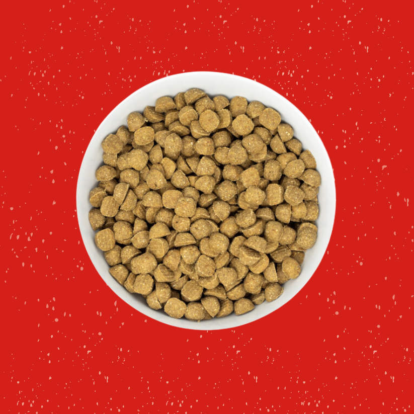 Stella & Chewy's Raw Blend Red Meat Small Breed Recipe