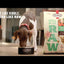 Primal Canine Beef Kibble in the Raw